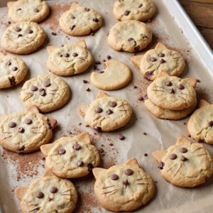cat shaped chocolate chip cookies